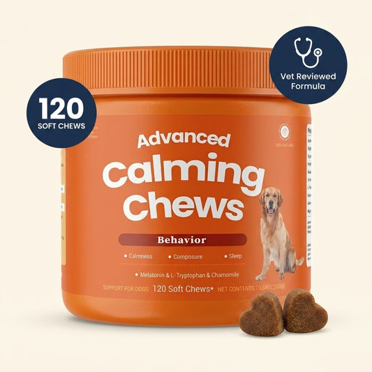 Pawden Calm Daily