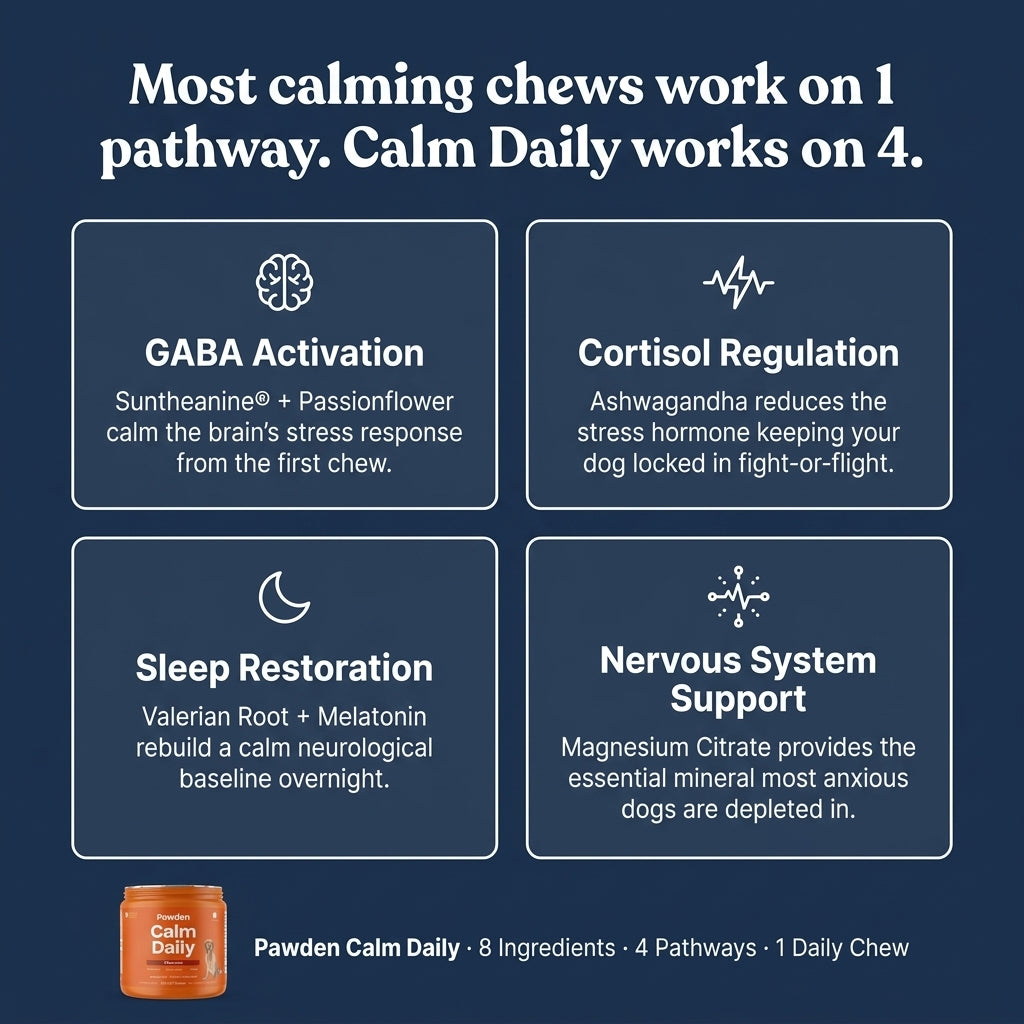 Pawden Calm Daily™